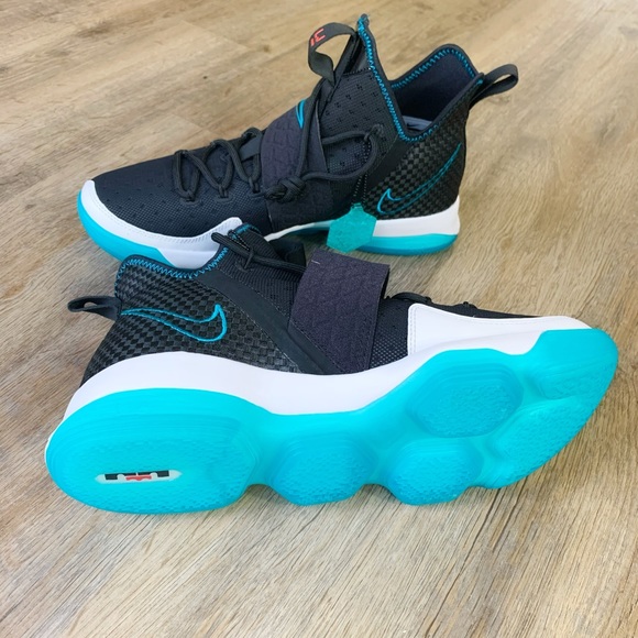 nike lebron 14 red carpet